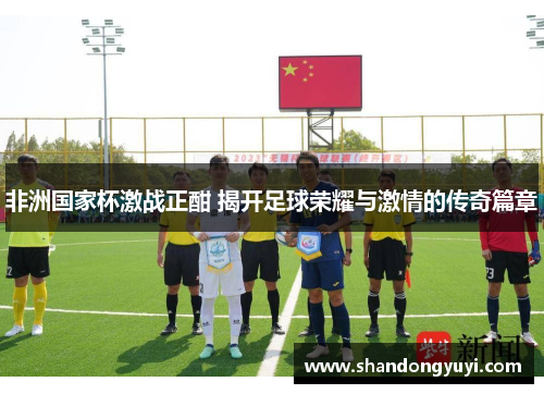 非洲国家杯激战正酣 揭开足球荣耀与激情的传奇篇章