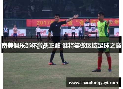 南美俱乐部杯激战正酣 谁将笑傲区域足球之巅