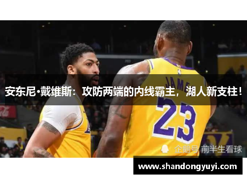 安东尼·戴维斯：攻防两端的内线霸主，湖人新支柱！