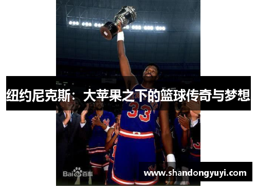 纽约尼克斯：大苹果之下的篮球传奇与梦想
