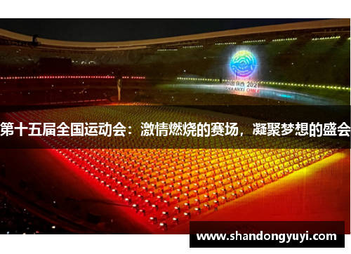 第十五届全国运动会：激情燃烧的赛场，凝聚梦想的盛会