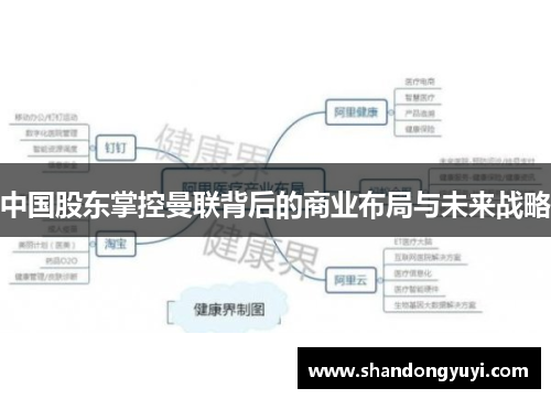 中国股东掌控曼联背后的商业布局与未来战略